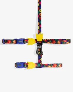 Samba Cat Harness w/ Leash