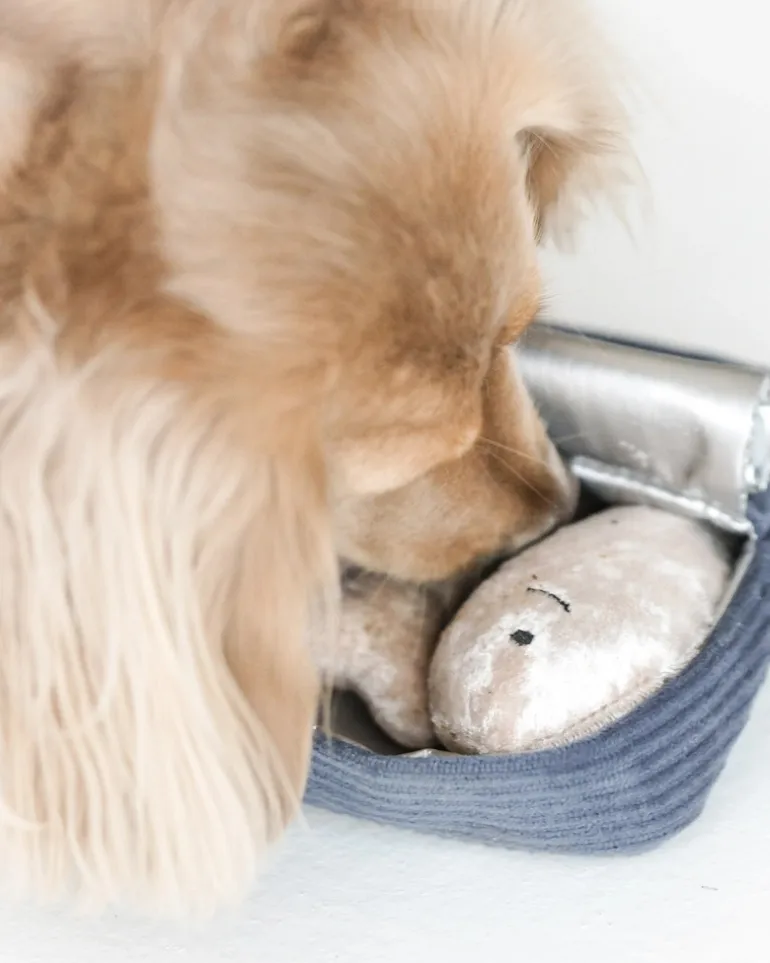 Sardines Plush Burrow Dog Toy