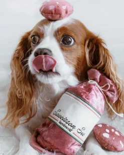 Saucisson Sec Squeaky Enrichment Plush Dog Toy