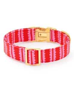 Scallop Stripe Dog Collar