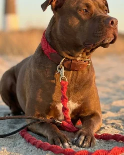Seaside Cotton Woven Rope Dog Leash in Red