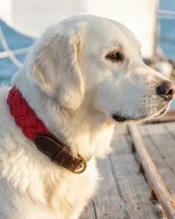 Seaside Cotton Woven Rope Dog Collar in Red