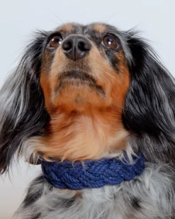 Seaside Cotton Woven Rope Dog Collar in Navy