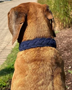 Seaside Cotton Woven Rope Dog Collar in Navy