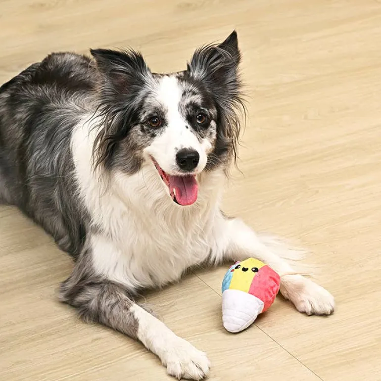 Shaved Ice 2-in-1 Dog Ball Toy