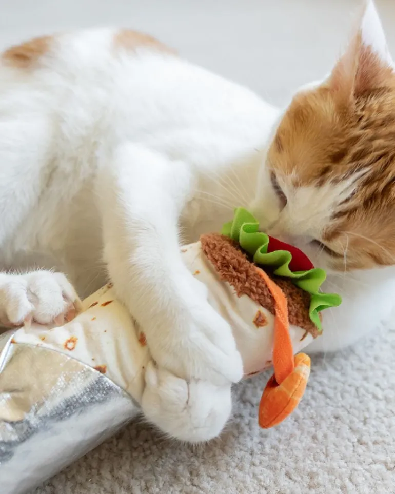 Shrimp Purrito Catnip Cat Toy