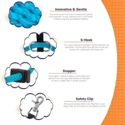 Sidekick Transitional No-Pull Leash