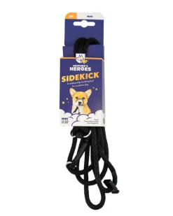 Sidekick Transitional No-Pull Leash