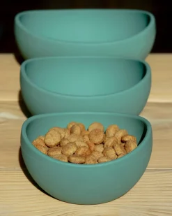 Silicone Dog Bowl