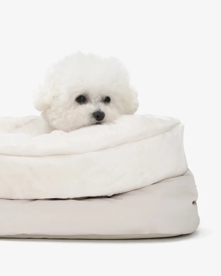 Sleeping Cushion Dog Bag