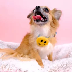 Smiley Face Collar Accessory (Made in the USA)