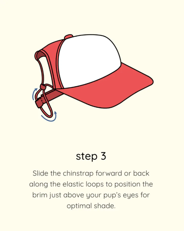 Smiley Face Pet Trucker Hat (FINAL SALE)