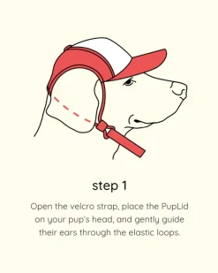Smiley Face Pet Trucker Hat (FINAL SALE)