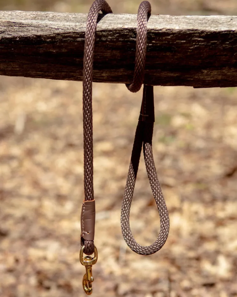 Snap Leash in Dark Brown (Made in the USA)