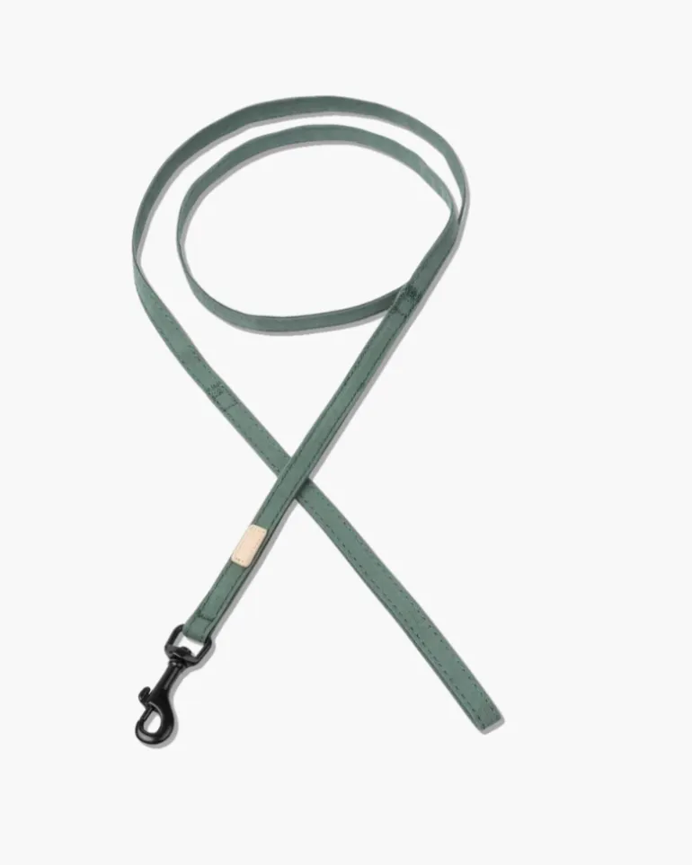 Soft Fabric Dog Leash (with Traffic Loop) in Sandstone, Myrtle Green or Soft Blush