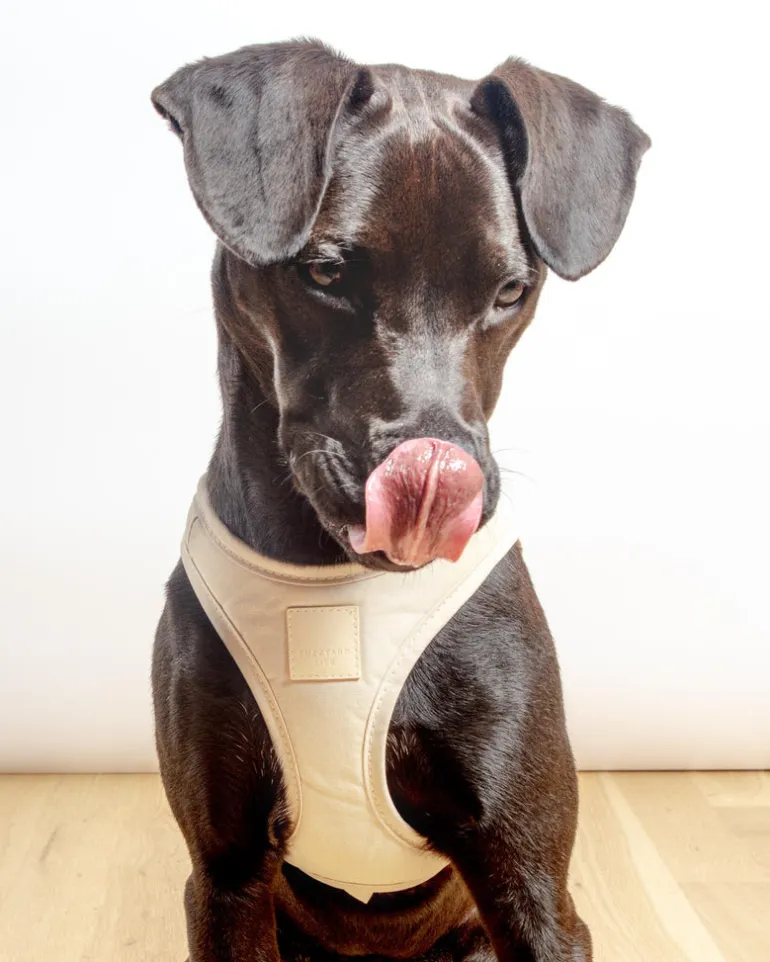 Soft Fabric Step-In Dog Harness in Sandstone