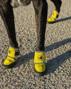 Soft Neoprene Paw Protector Booties