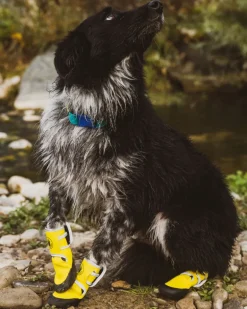 Soft Neoprene Paw Protector Booties