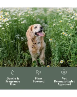 Soft Paws Hydrating Paw Lotion