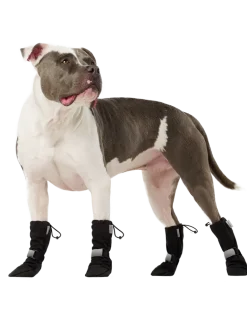 Soft Shield Dog Boots in Black