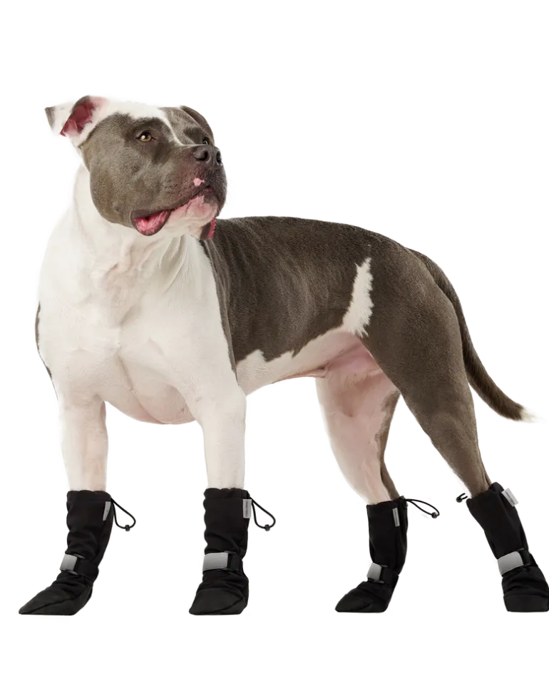 Soft Shield Dog Boots in Black