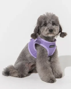 Soft Vest Dog Harness in Violet