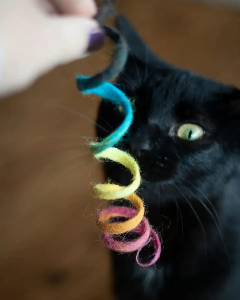 Spring Wool Cat Toy