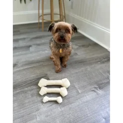 Squeaky Latex Dog Bone Toy