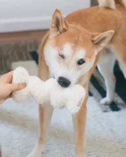 Squiggle Crinkle Plush Dog Toy