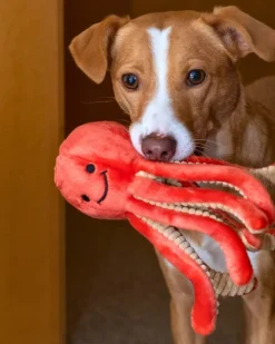 Squirt the Octopus Plush Squeaky Dog Toy