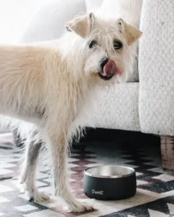 Stainless Steel Dog Bowl in Onyx