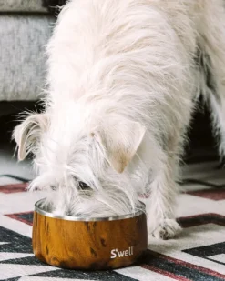 Stainless Steel Dog Bowl in Teakwood