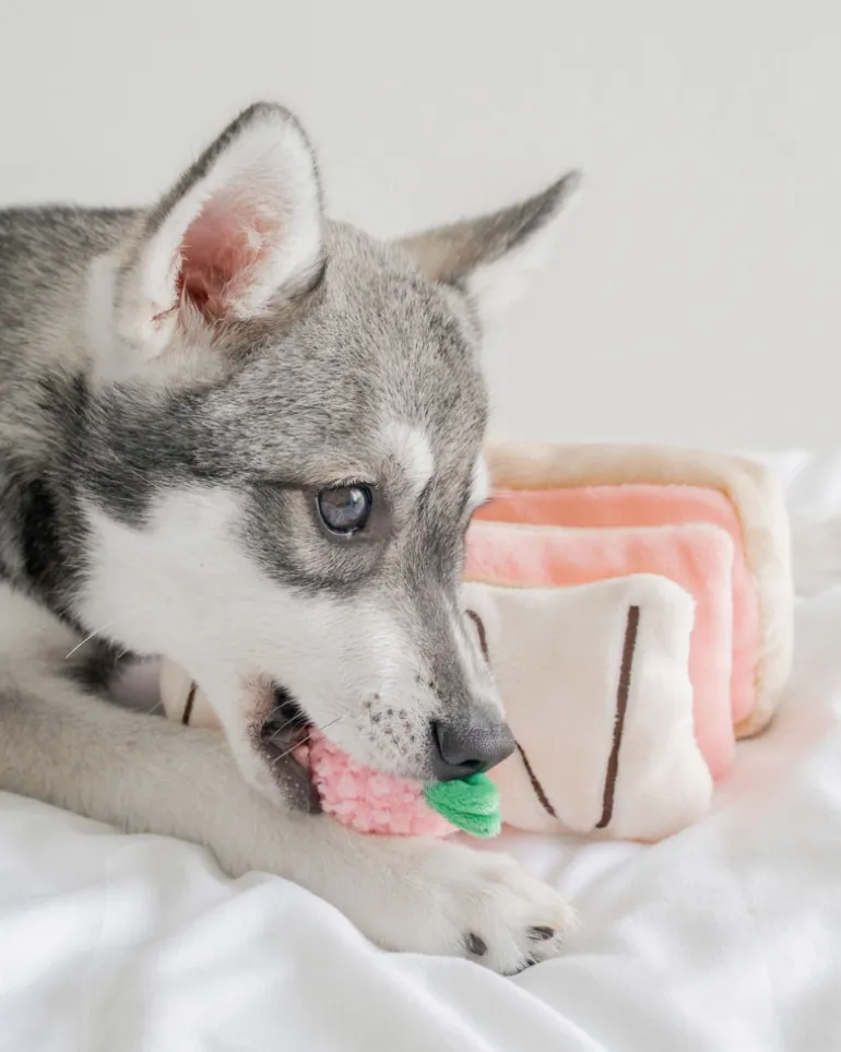 Strawberry Mille-Feuille Nosework Dog Toy