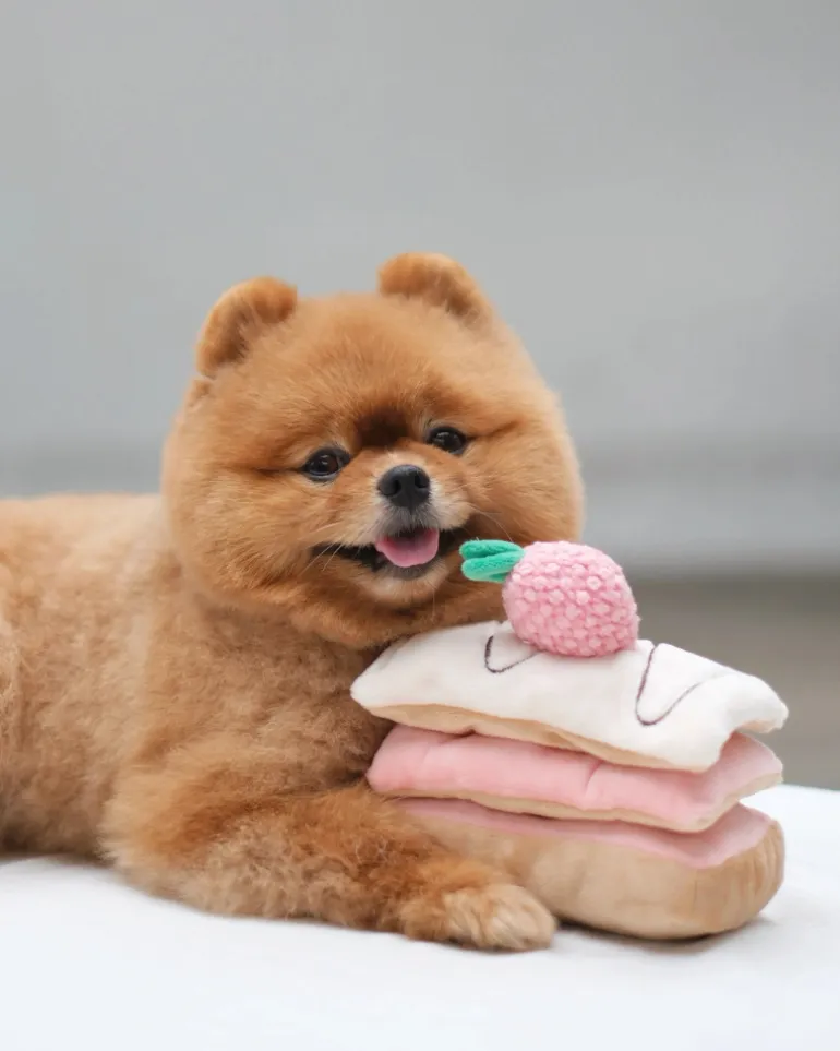 Strawberry Mille-Feuille Nosework Dog Toy