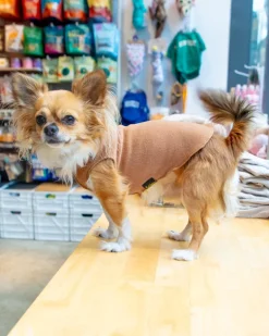 Stretch Fleece Dog Pullover in Chipmunk
