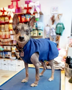 Stretch Fleece in Navy Blue