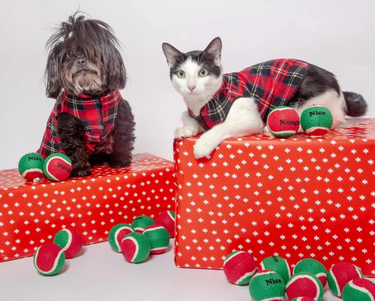 Stretch Fleece in Red Tartan Plaid (Made in the USA)