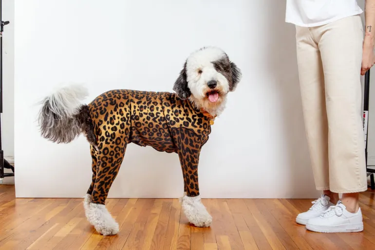 Stretch Fleece Onesie in Leopard (Made in the USA, DOG & CO. + GOLD PAW Exclusive!)