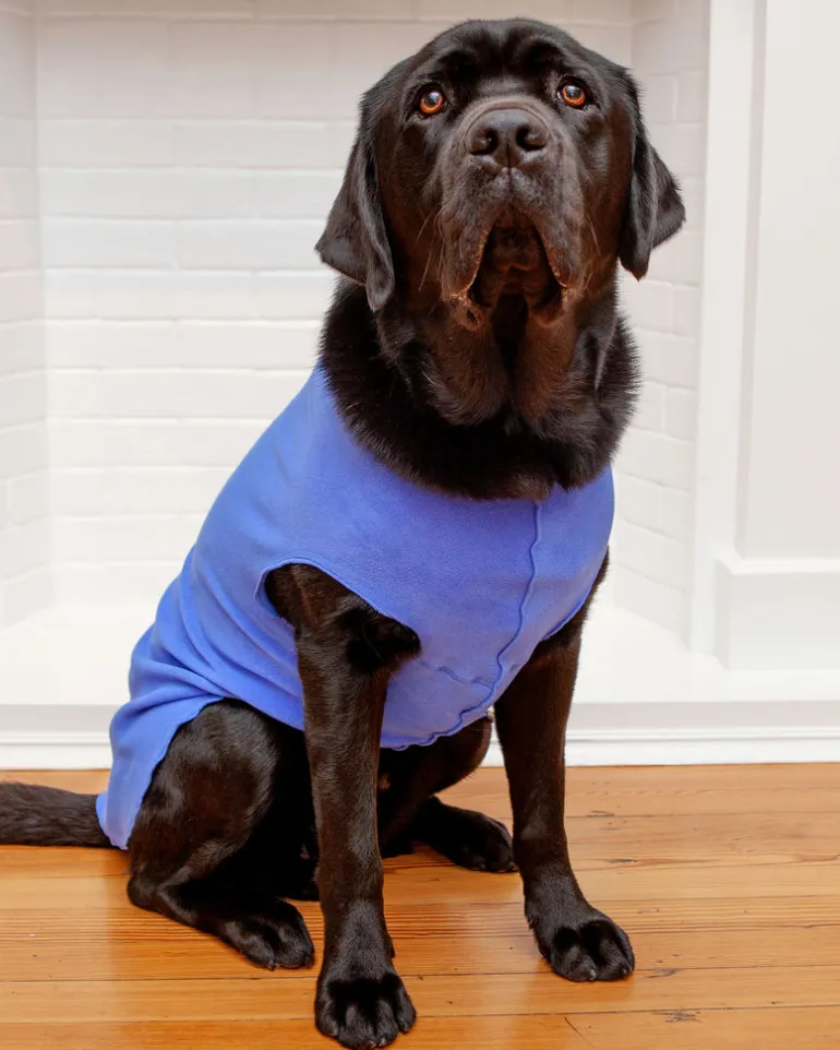 Stretch Fleece Pullover in Cornflower Blue
