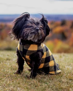 Stretch Fleece Pullover in Yellow Buffalo Plaid (Made in the USA)