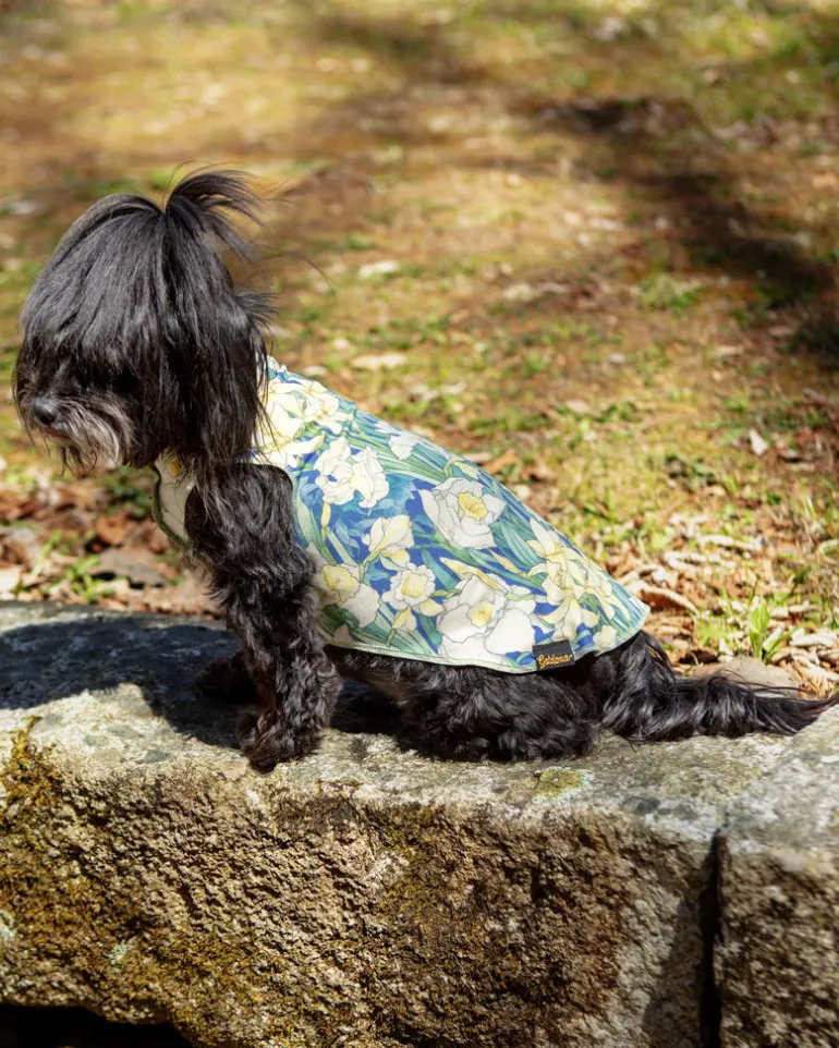 Sun Shield Dog Tee in Daffodils (Made in the USA)