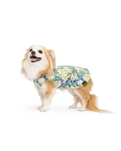 Sun Shield Dog Tee in Daffodils (Made in the USA)