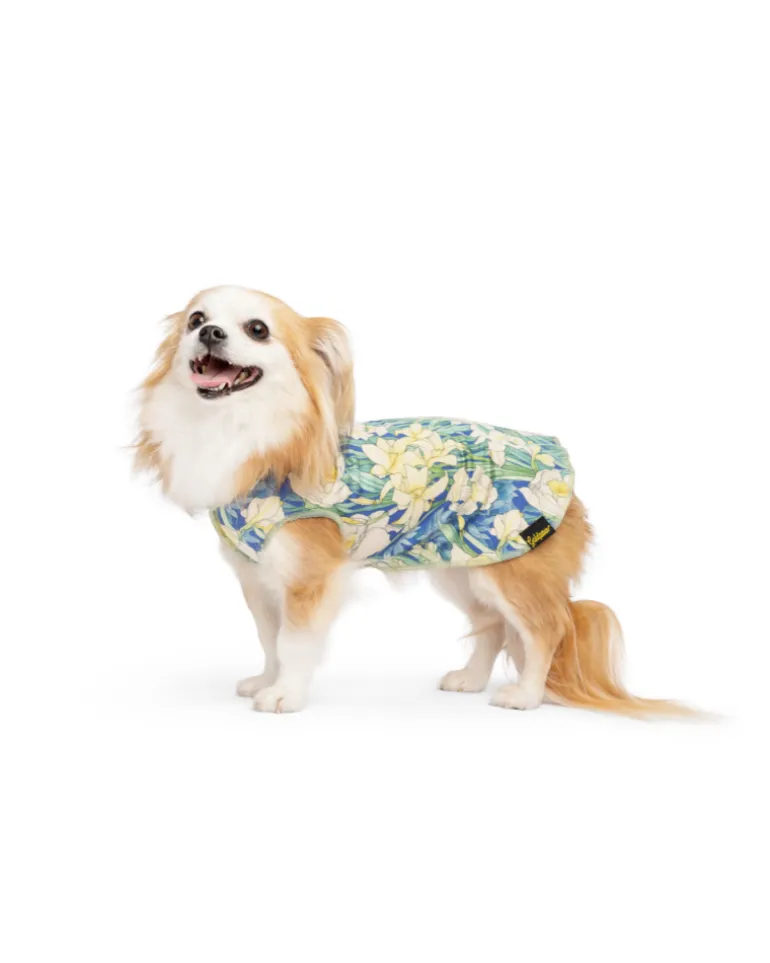 Sun Shield Dog Tee in Daffodils (Made in the USA)