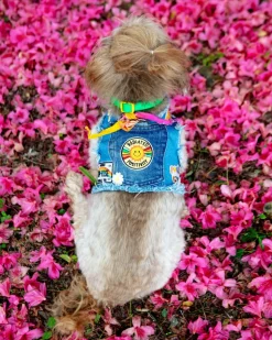 Sunshine Positivity Denim Dog Harness (Made in the USA) (FINAL SALE)