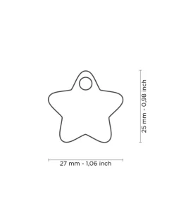Super Star Custom Pet ID Tag