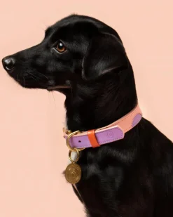 Sweet Leather Dog Leash (Made in Guatemala) (FINAL SALE)