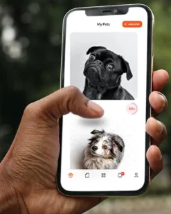 Tailr QR ID Tag for Pets (Slide Tag)