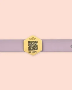 Tailr QR ID Tag for Pets (Slide Tag)