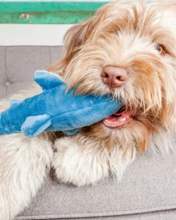 Tank the Shark Plush Squeaky Dog Toy