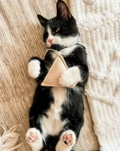 Tea Time Catnip Toy